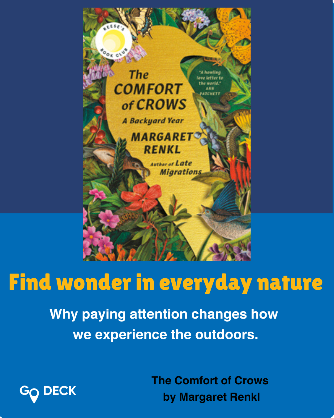Finding Wonder in Everyday Nature: Book Review of The Comfort of Crows
