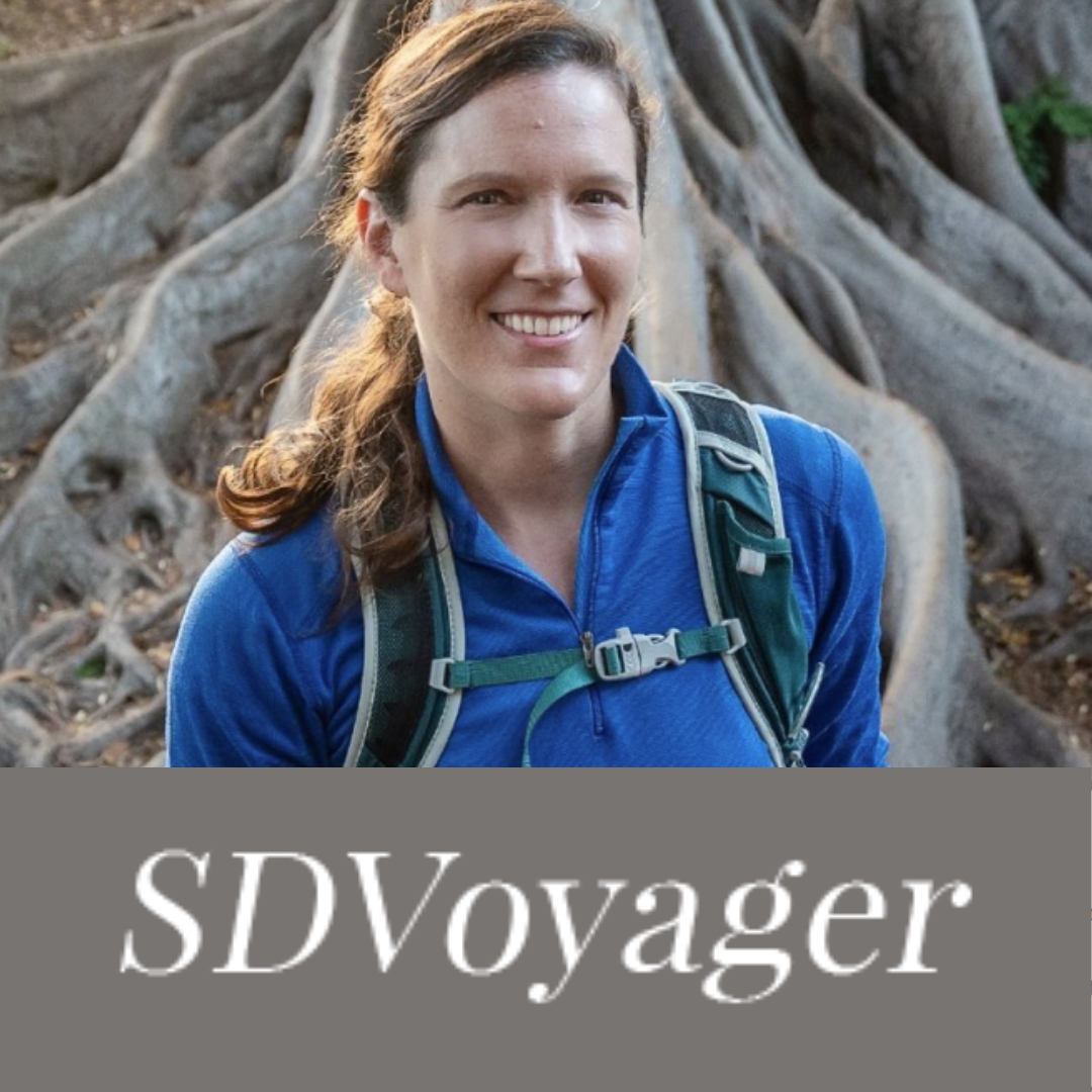 Inspiring Conversations with SDVoyager