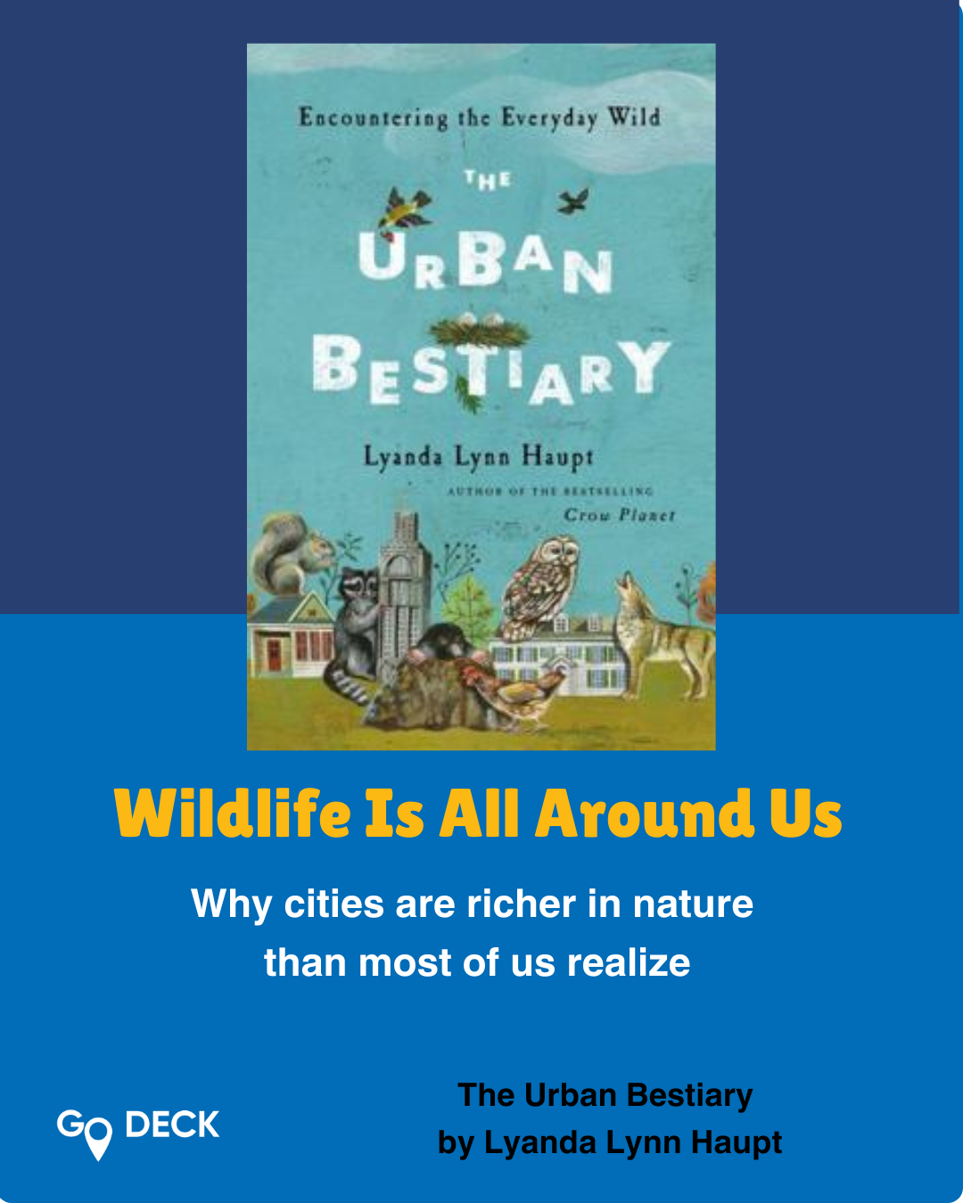 Wildlife Is All Around Us, Even in Cities: A Book Review of The Urban Bestiary