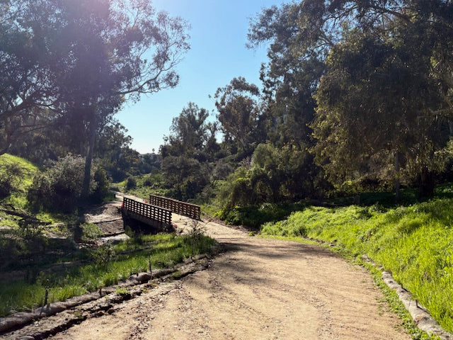 San Diego Strolls: Doing Part, Or All, Of San Diego’s Seven Bridge Walk