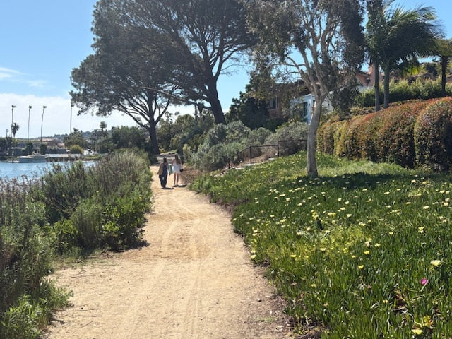 San Diego Strolls: Follow The ‘Sighs’ To Bessemer Park