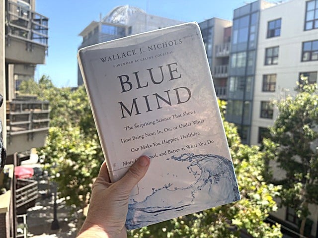 San Diego Strolls: The Science Of “Blue Mind” as You Walk Along the Bay