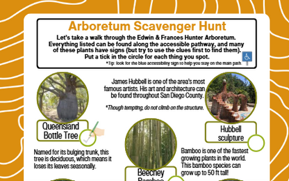 Scavenger hunt sheet for Edwin & Frances Hunter Arboretum with images and text.