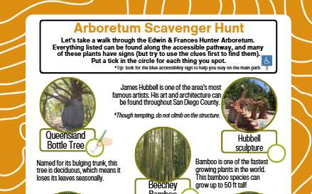 Scavenger hunt sheet for Edwin & Frances Hunter Arboretum with images and text.