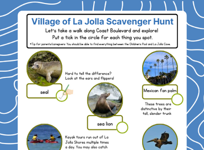Kids' Scavenger Hunt San Diego - La Jolla